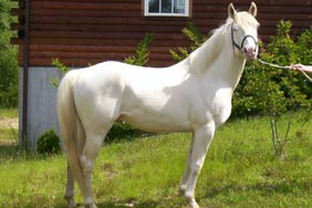 casper2web-05.jpg