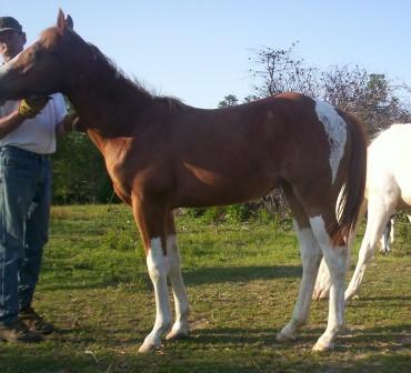 lildarlin07-1.jpg