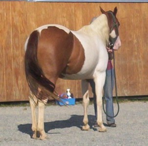 QT2